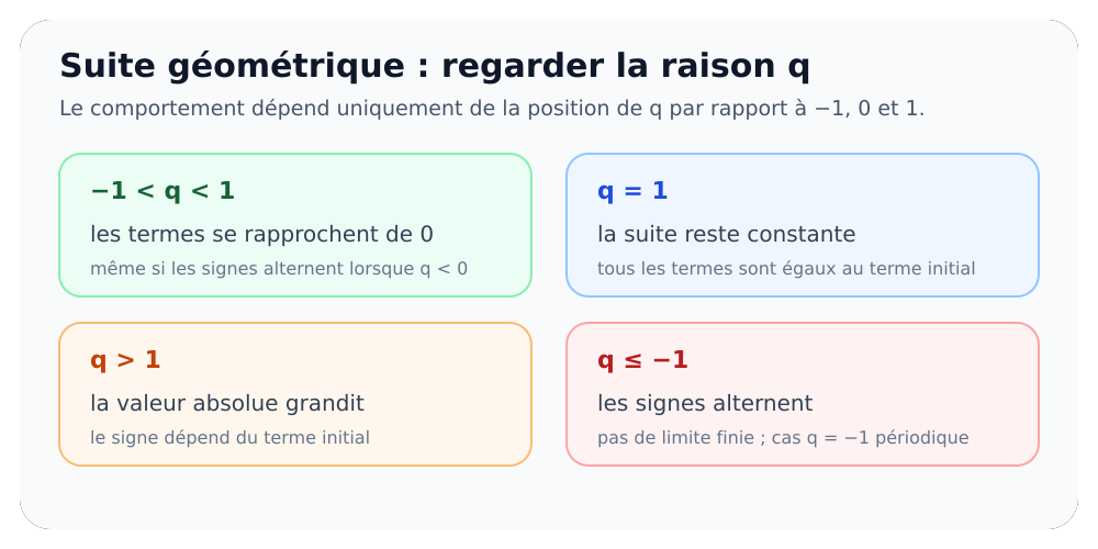 Quatre comportements d’une suite géométrique selon la valeur de sa raison q.